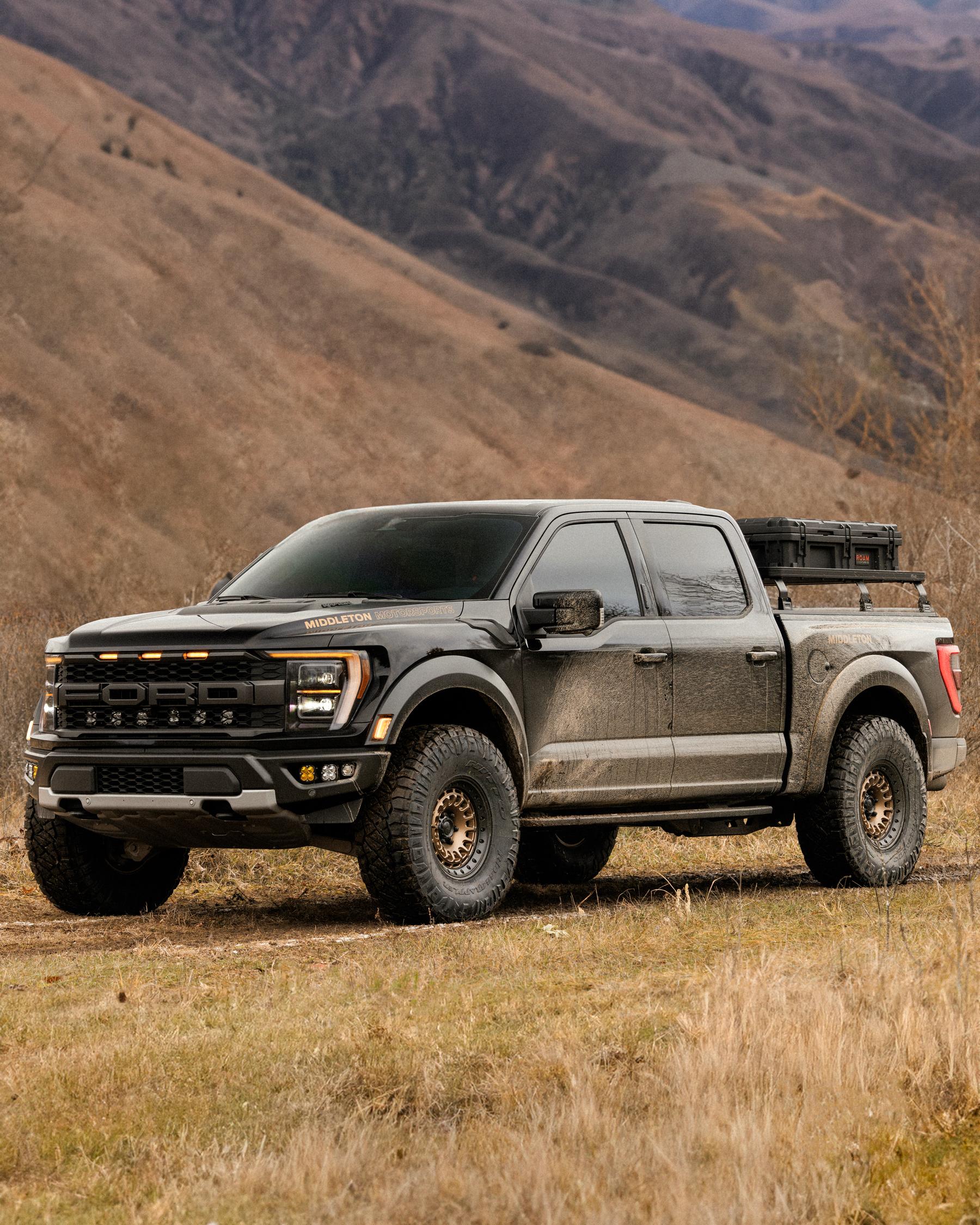 Bronze wheels? | F150gen14 -- 2021+ Ford F-150, Tremor, Raptor Forum ...
