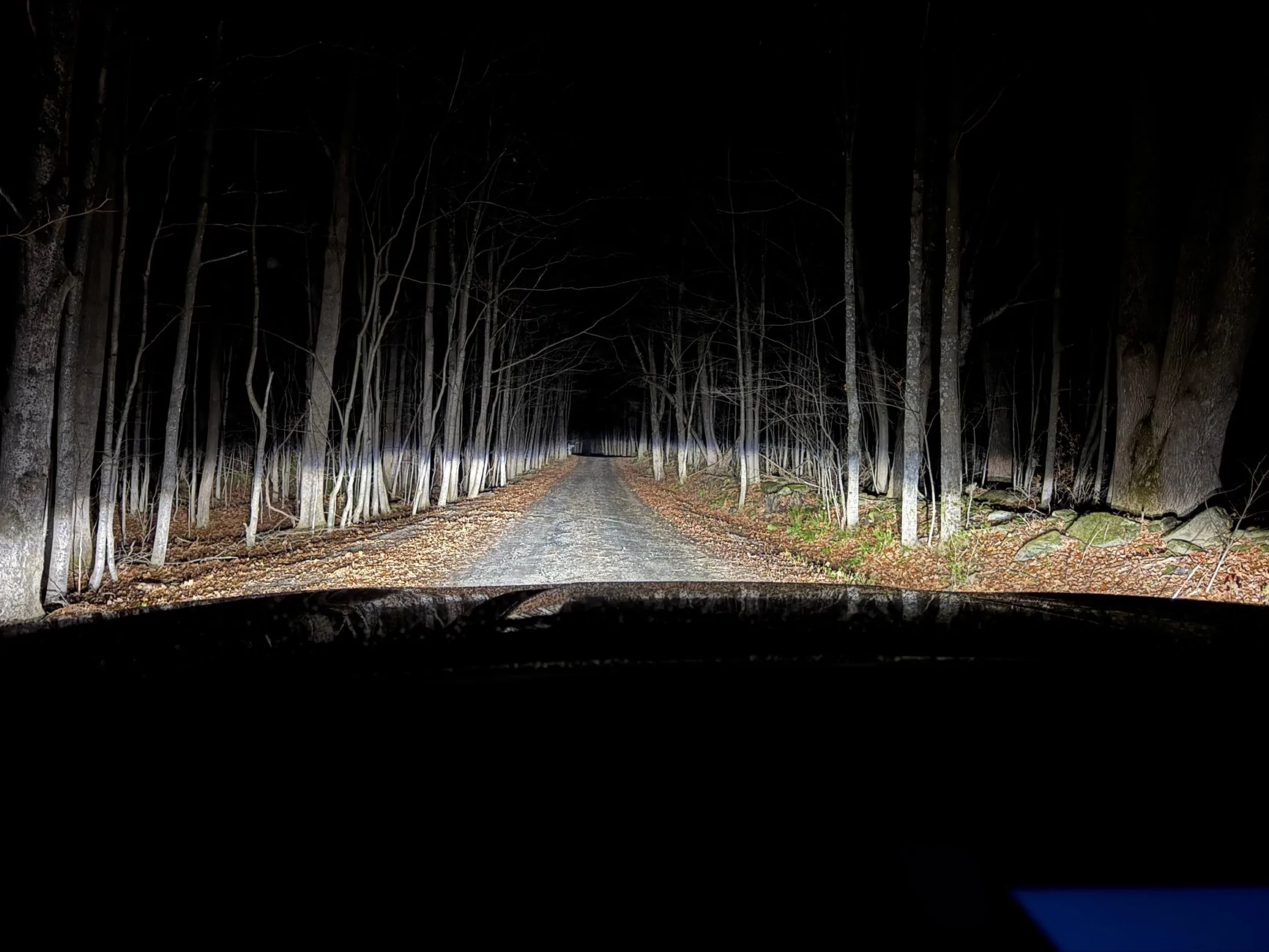 2025 OEM Projector Headlight dark spots | Page 3 | F150gen14 -- 2021 ...