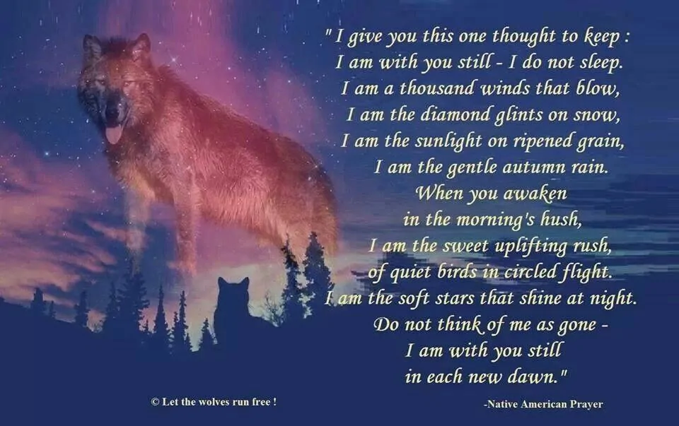 Wolves Prayer Explanation of why I haven't been around lately. | Page 2 | F150gen14 ...