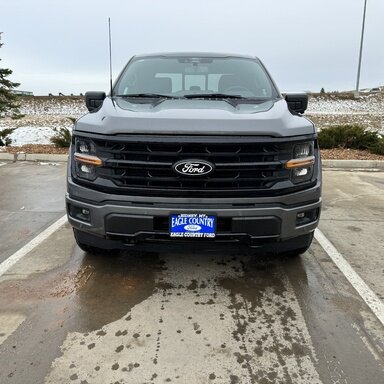Amsoil Synthetic | F150gen14 -- 2021+ Ford F-150, Tremor, Raptor Forum ...